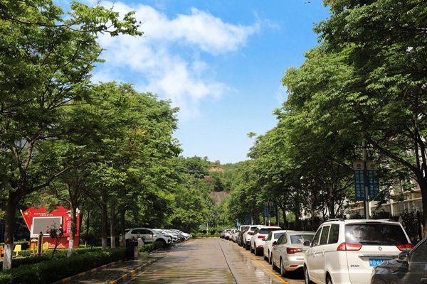 礦區(qū)環(huán)境_副本.jpg