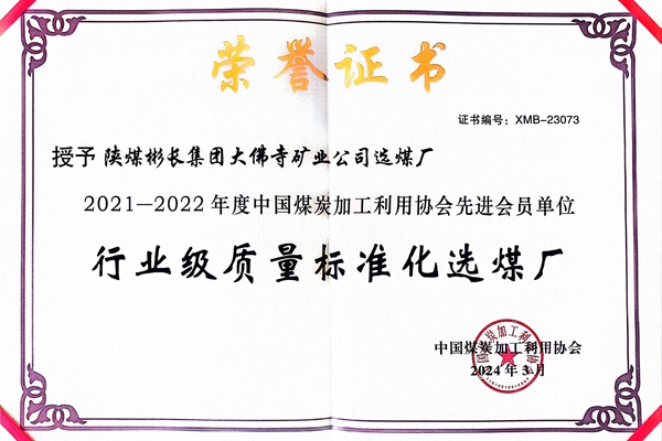大佛寺選煤廠行業(yè)級質(zhì)量標(biāo)準(zhǔn)化_副本.jpg