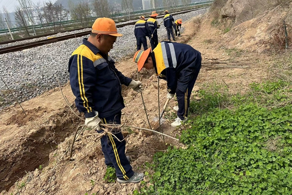 線路護(hù)坡整治_副本.jpg
