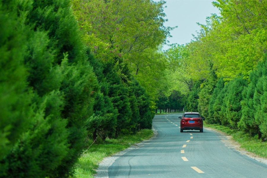 林間山路