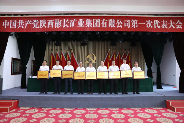 先進(jìn)黨組織_副本.png