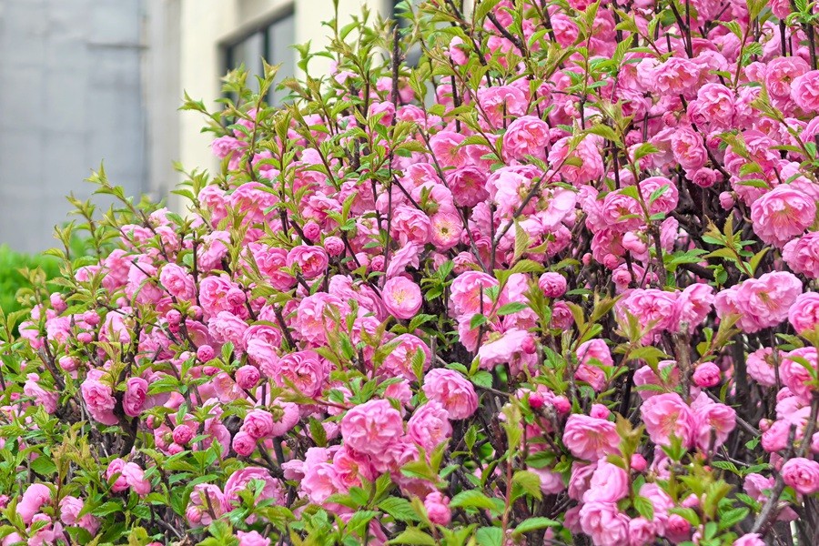 1775790710143148.jpg